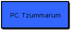 PC Tzummarum